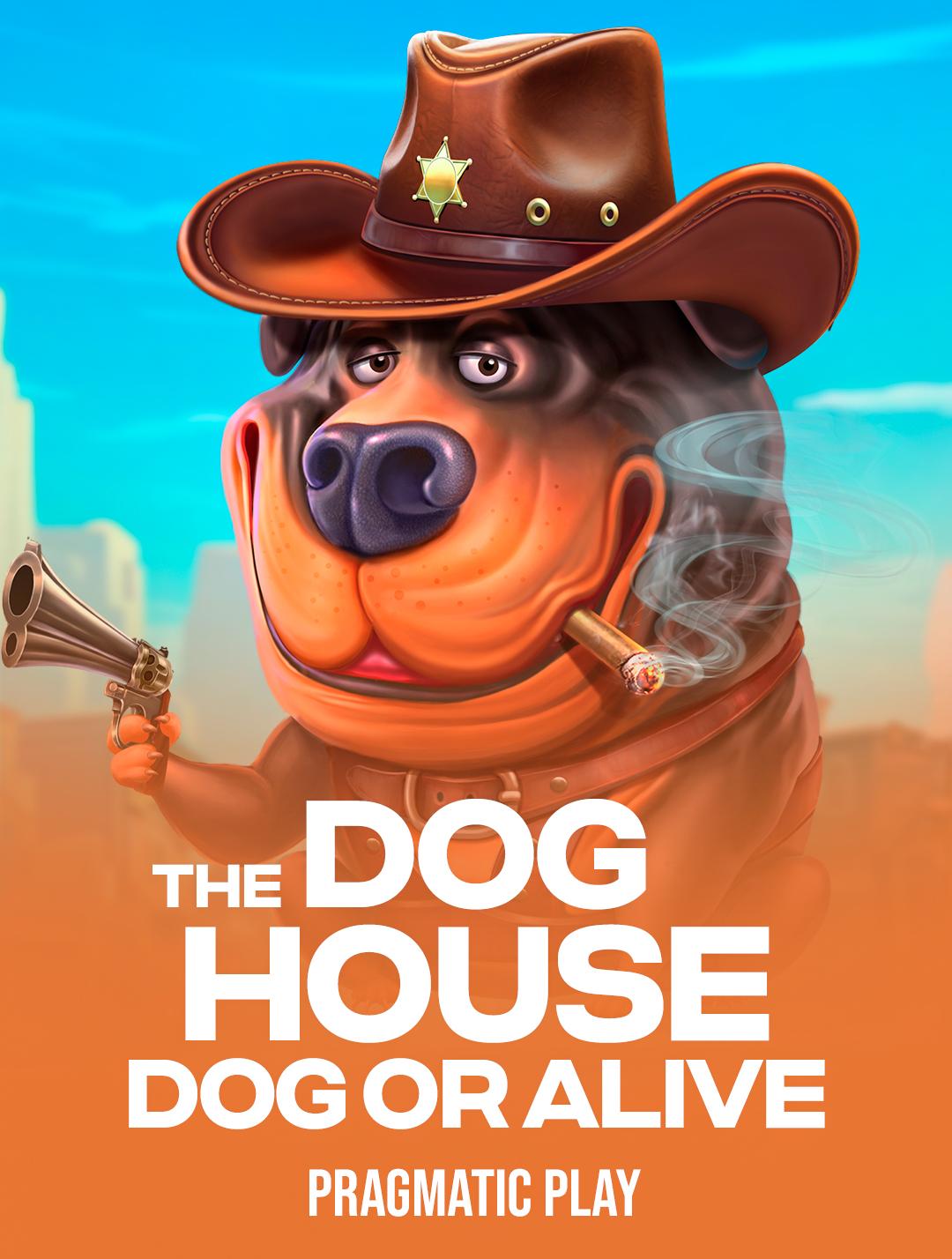 The Dog House - Dog or Alive