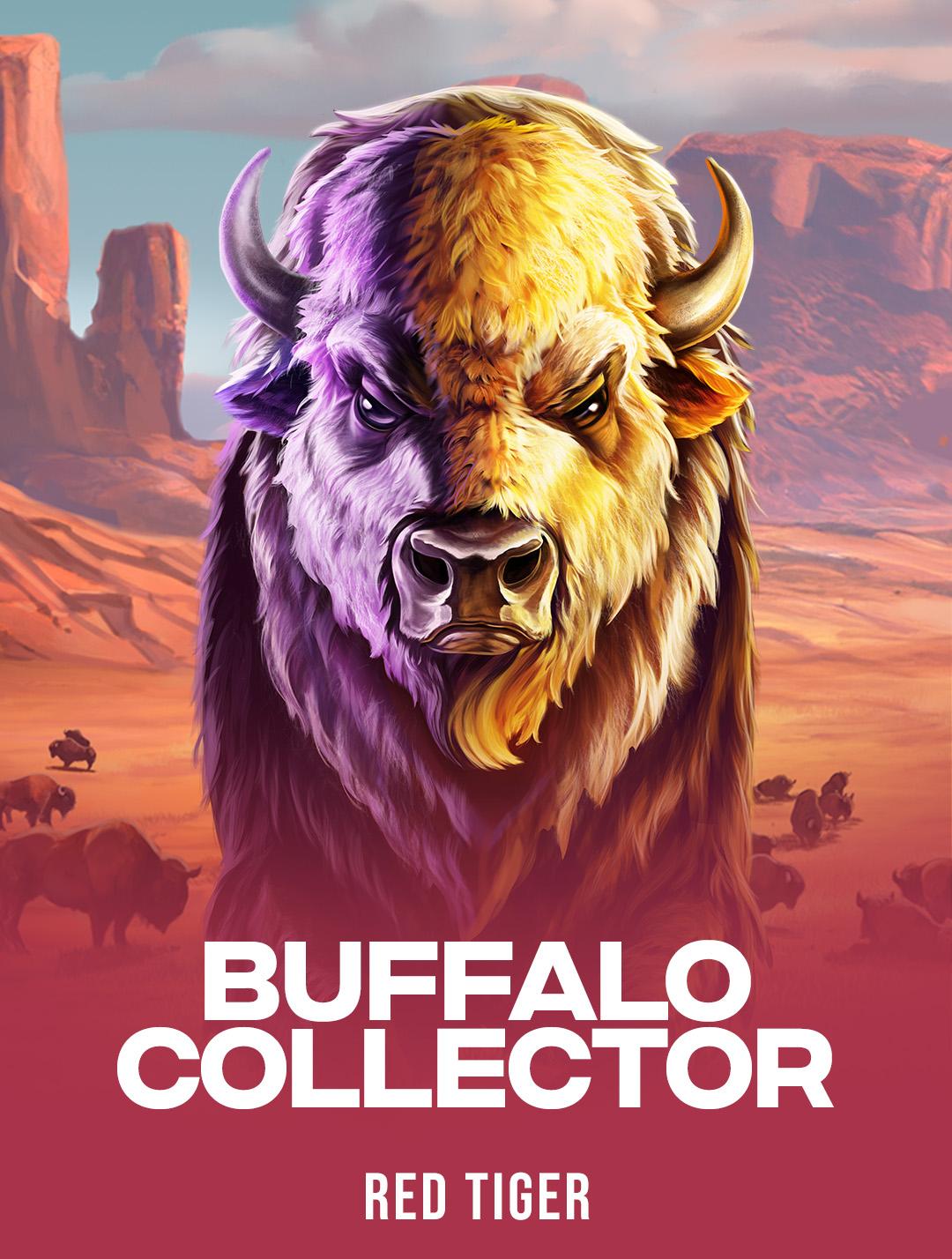 Buffalo Collector