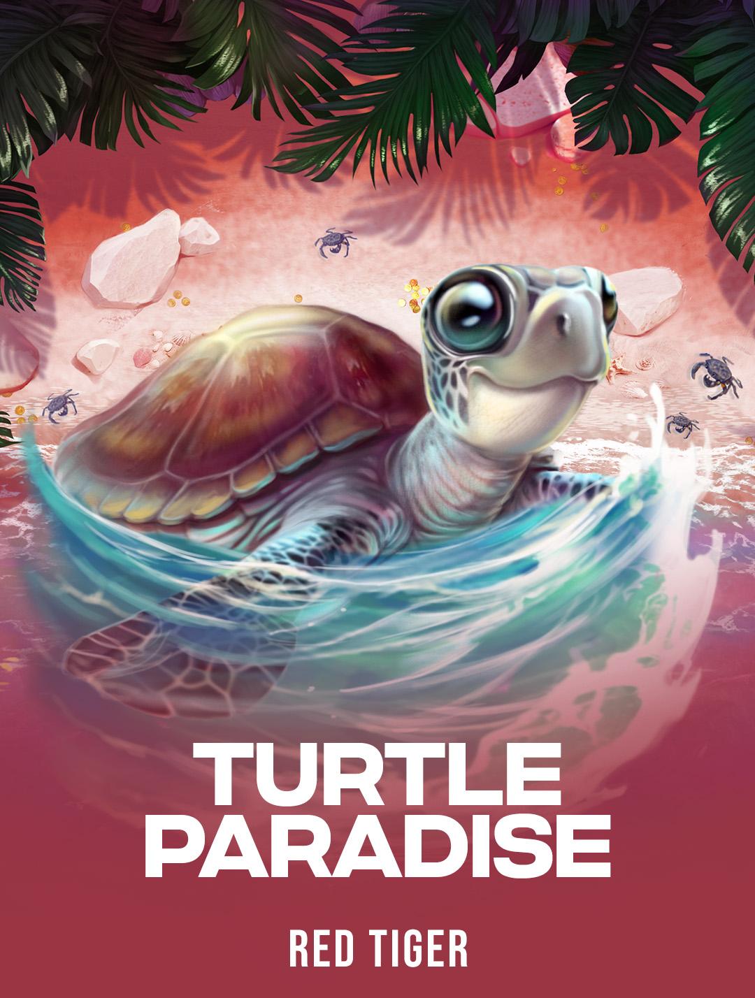Turtle Paradise
