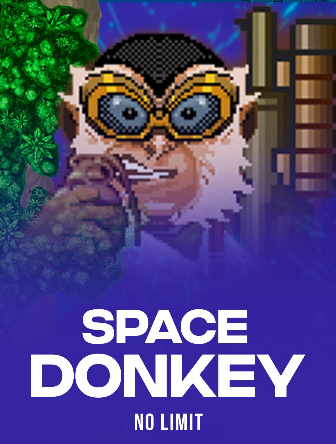 Space Donkey